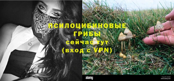 скорость mdpv Медногорск
