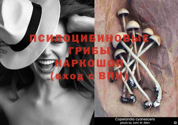 скорость mdpv Медногорск