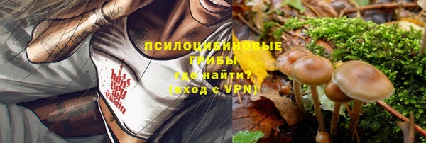 ECSTASY Ачинск